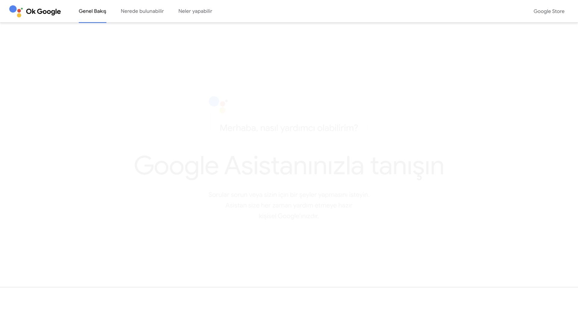 Google Assistant