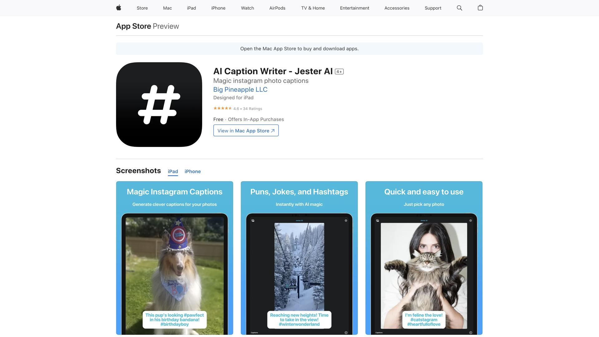 Jester AI – Caption Writer