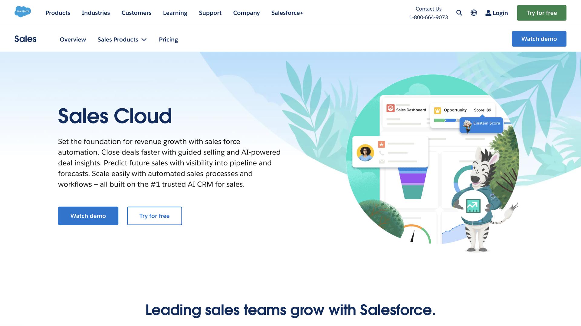 Salesforce Sales Cloud