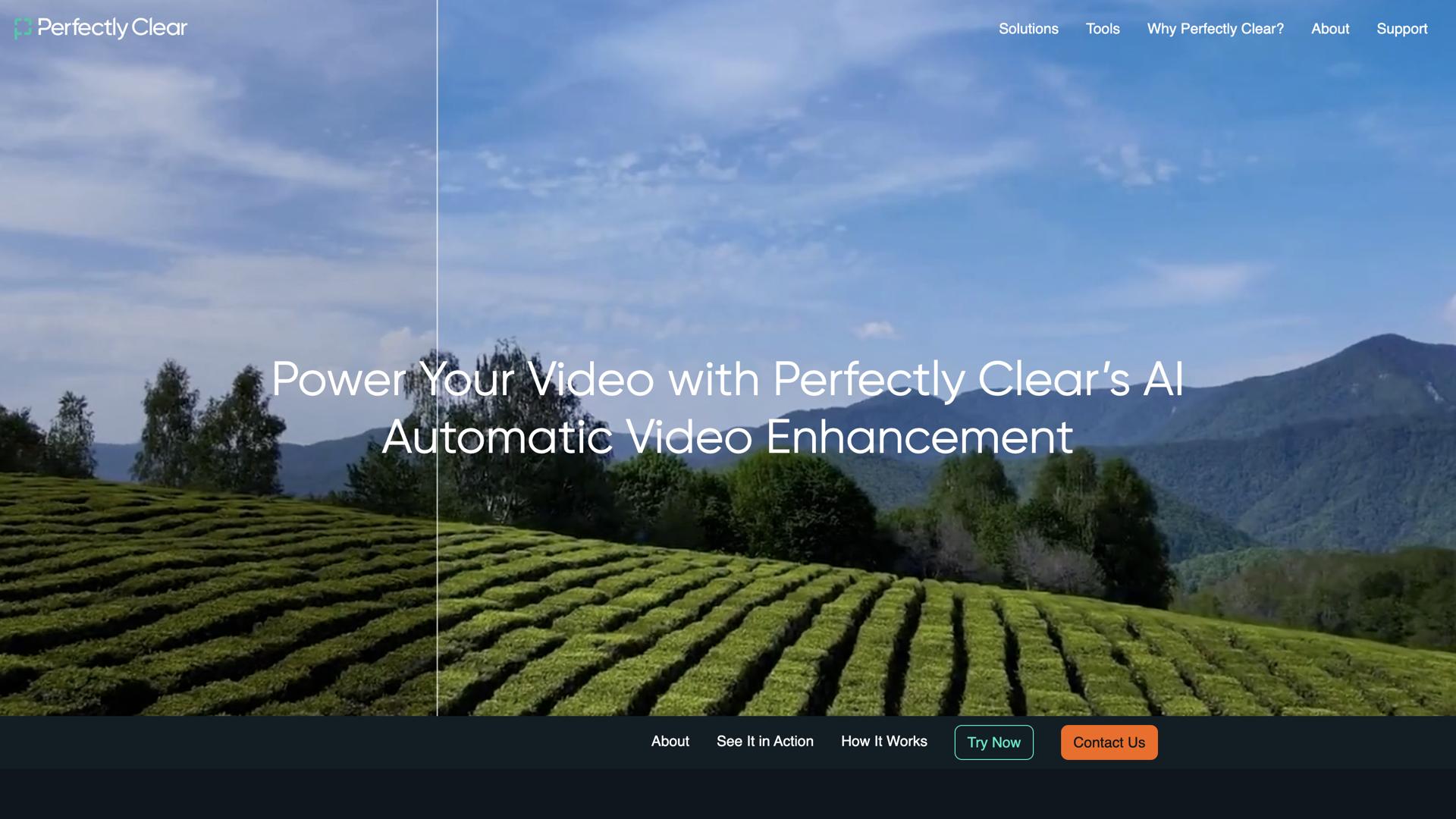 Perfectly Clear Video