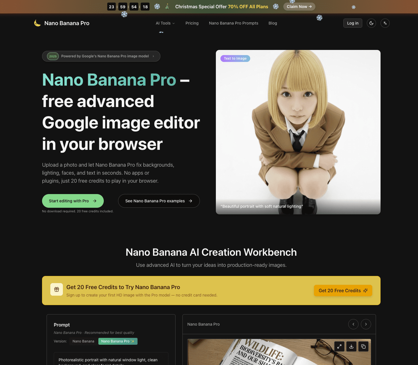 Nano banana pro image